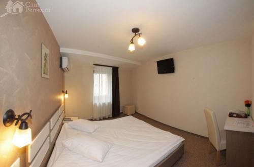 Târgu-Mureş Pension Cleopatra מראה חיצוני תמונה