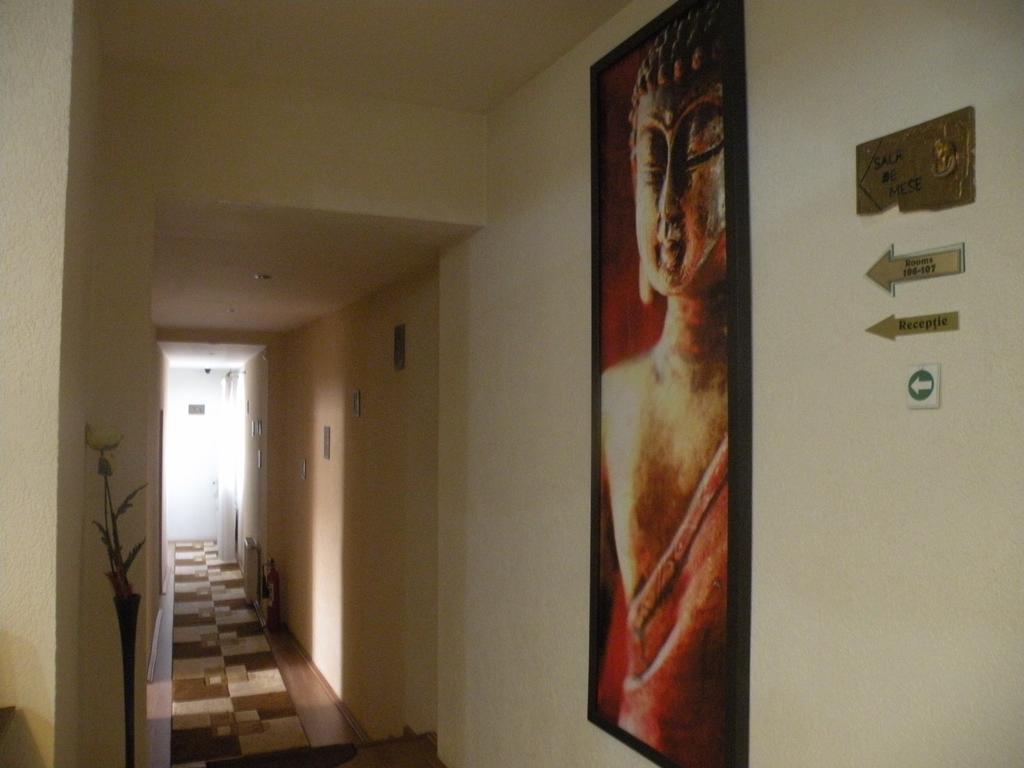 Târgu-Mureş Pension Cleopatra מראה חיצוני תמונה