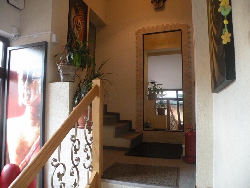 Târgu-Mureş Pension Cleopatra מראה חיצוני תמונה